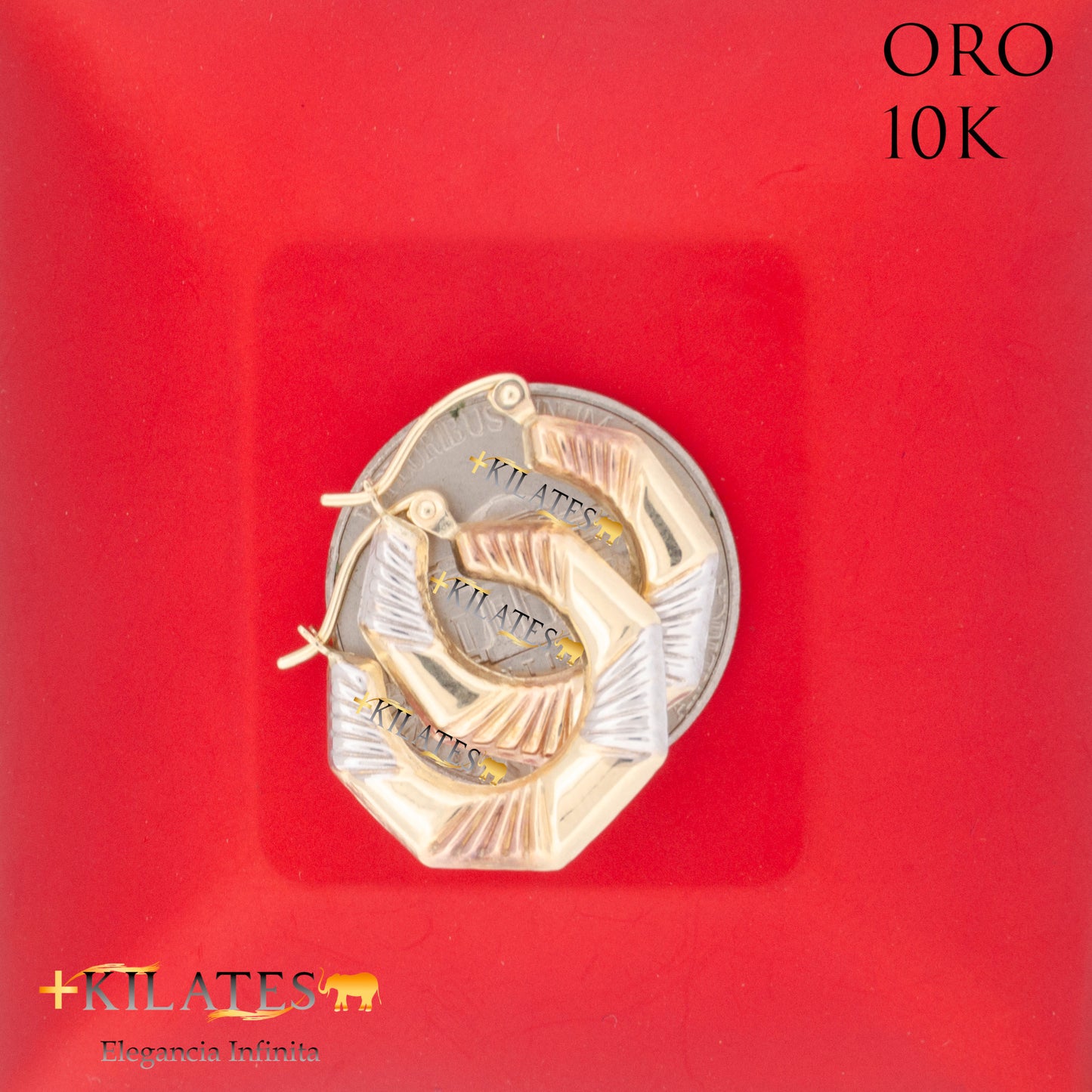 "ARGOLLAS OCTAGONALES. ORO 10K #775-1715"